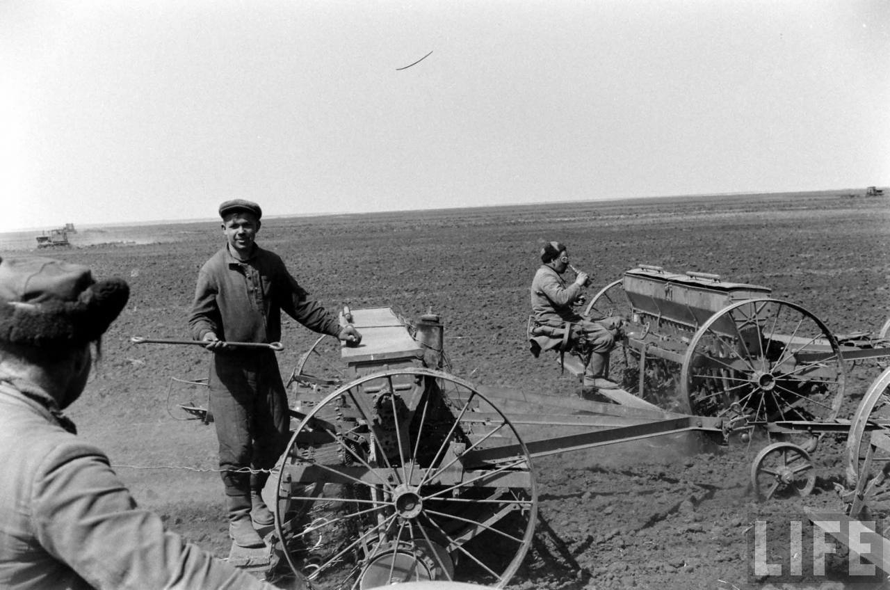 Освоение целины фото