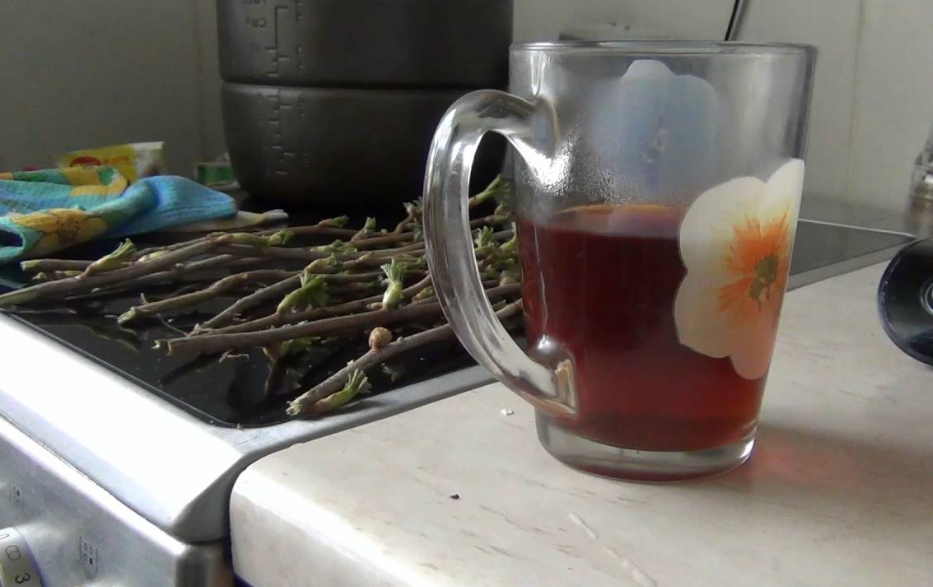 Простые рецепты снижения давления: как без аптеки и врача победить гипертонию