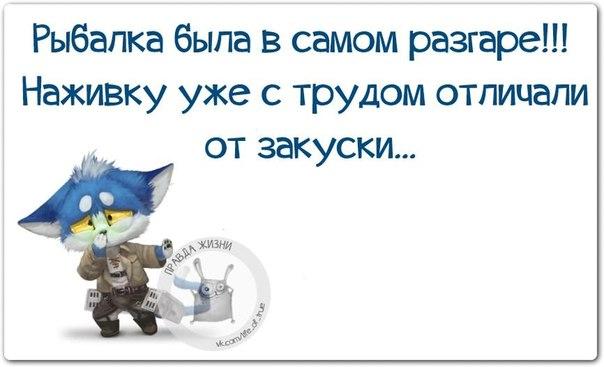 А я никогда в школе не дергал девочек за косички, потому что один раз в деревне я дернул за хвост коня анекдоты,веселые картинки,приколы,Хохмы-байки,юмор