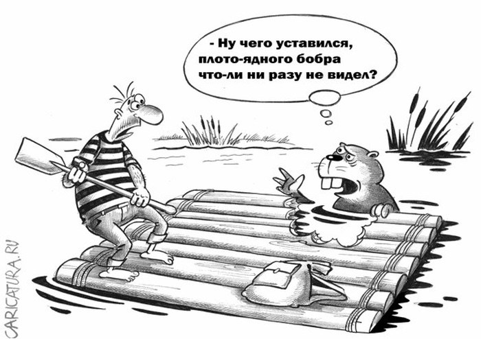 Карикатуры от Сергея Корсуна - Позитив в картинках и не только -  медиаплатформа МирТесен