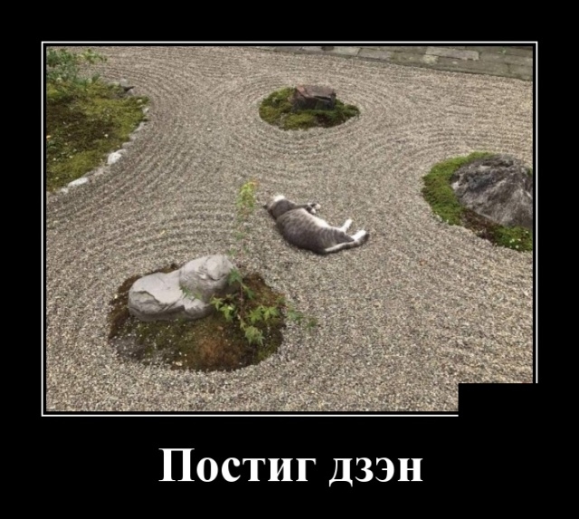 Демотиваторы среды 13.02.2019 Демотиваторы среды 13.02.2019