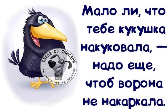 Небольшой горный городок в Грузии. Наш командировочный заходит в вино-водочный магазин... весёлые