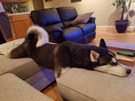 Самые позитивные картинки и фотки Самые позитивные картинки и фотки