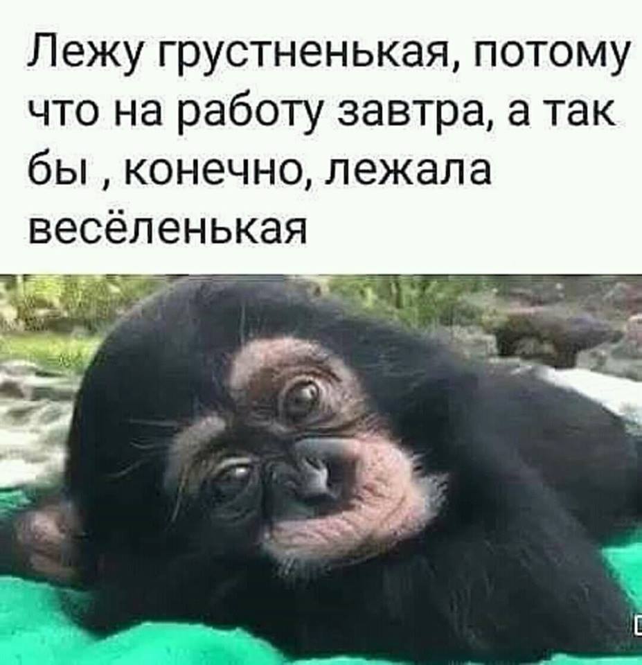 Открытки с надписью завтра на работу