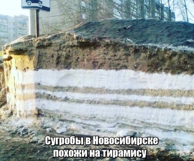 Веселые картинки и забавные фото приколы с надписью из нашей жизни Смешные картинки с надписями до слез