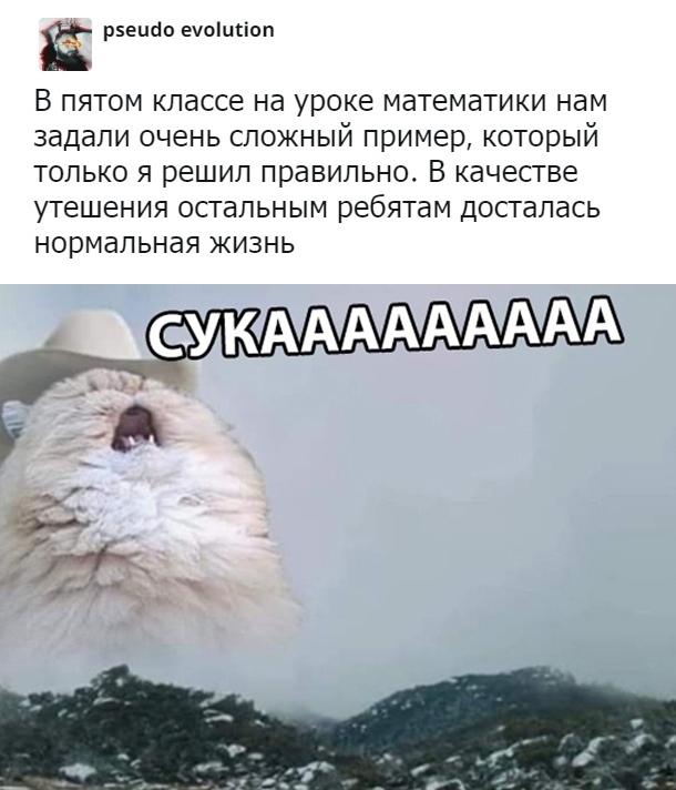 Подборка смешных картинок Подборка смешных картинок смешные картинки