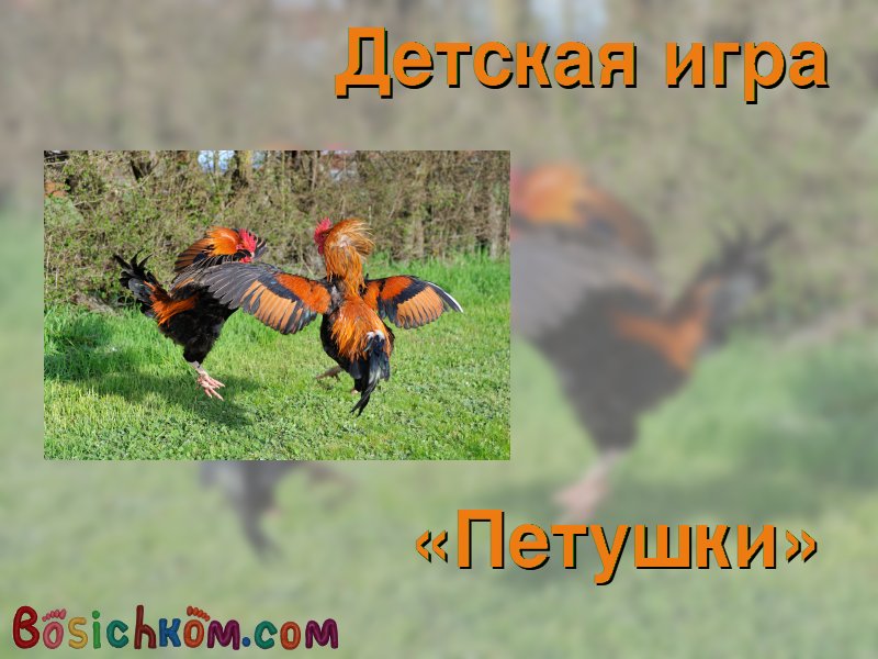 детская игра Петушки