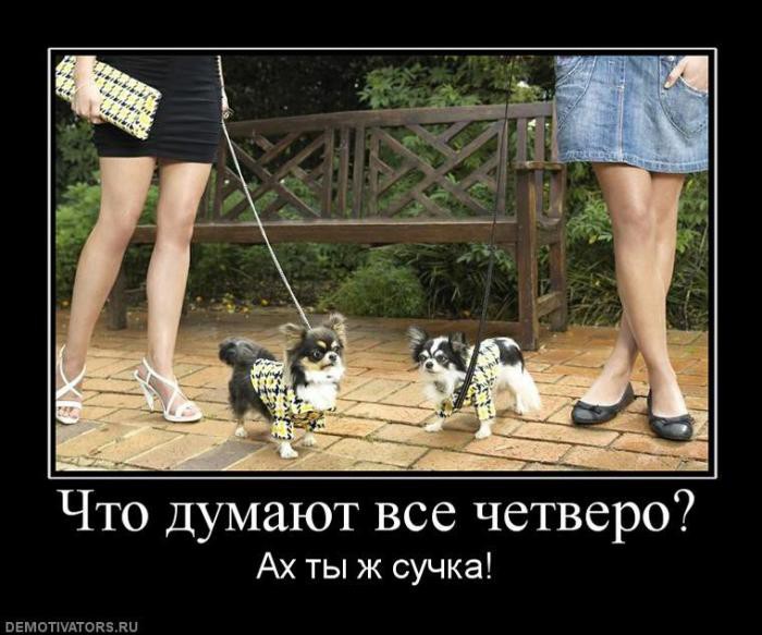 Подборка интересных и веселых демотивароров №20 Подборка интересных и веселых демотивароров №20 демотиваторы