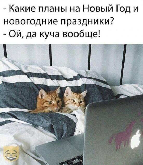 У бизнесмена спрашивают: - Это правда, что ваш кассир сбежал вместе с деньгами и вашей дочерью?... водки, только, Дорогая, правда, Продавец, забудь, вечером, пусть, когда, теперь, особенно, Хорошо, выпей, корпоратив, женился, Мужик, валяется, подрастет, детей, английскому