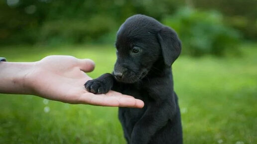 Одиночество