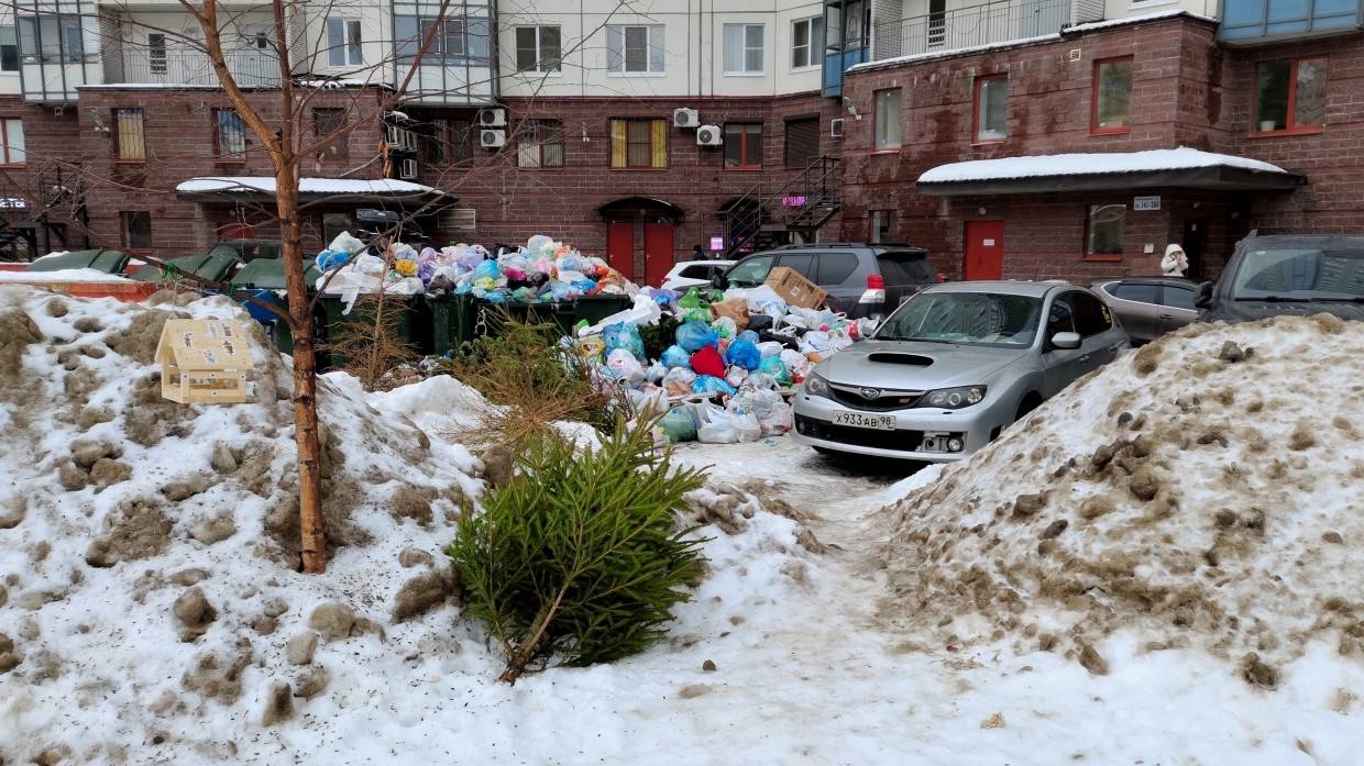 Эколог Незнамов заявил, что в Петербурге проведение мусорной реформы «начали с конца»