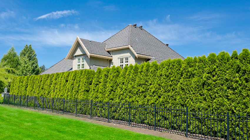 Ландшафтный дизайн вашего участка своими руками. Идеи для творческого вдохновения. handmake,поделки для сада,полезные советы,разное