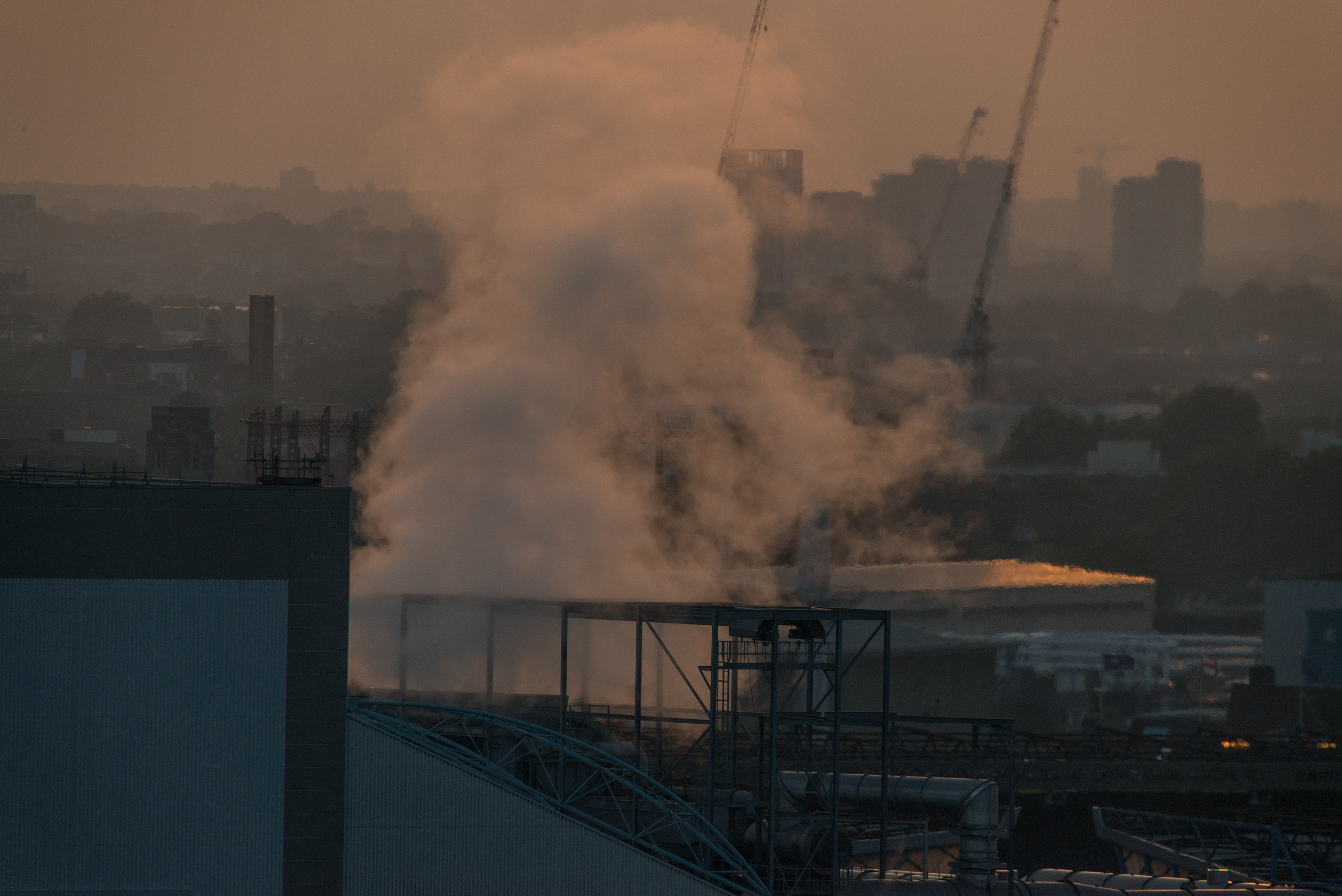 Смертельно опасный Альбион: ядовитый смог убил тысячи людей, а вину свалили на грипп геополитика