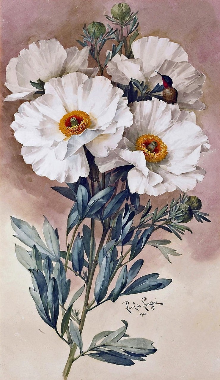 1 (28).jpg