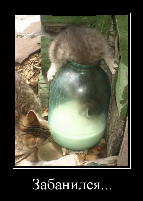 Подборка смешных демотиваторов из нашей жизни Подборка смешных демотиваторов из нашей жизни свежие демотиваторы 2019