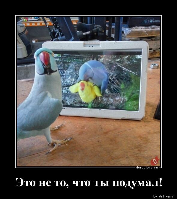 Новая порция улыбок и хорошего настроения — в прикольных демотиваторах! 