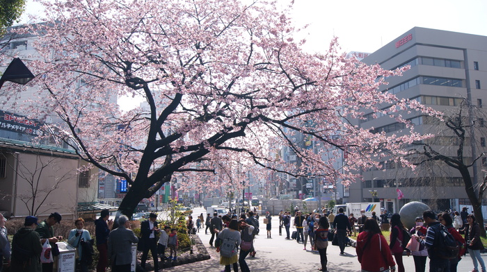 Немного фотографий из Японии Немного фотографий из Японии заграница,страны,туризм