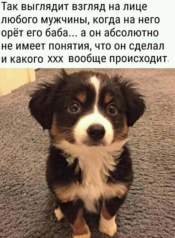 — А теперь я познакомлю тебя со своей семьей... специалист, Петровна , запуск, Почему, говорит, потом, обезьяны, молчи, ракеты, теперь, целыми, днями, опытный, солнечных, загорающий, нудистском, пляже, избежание, нетМужчина, орган