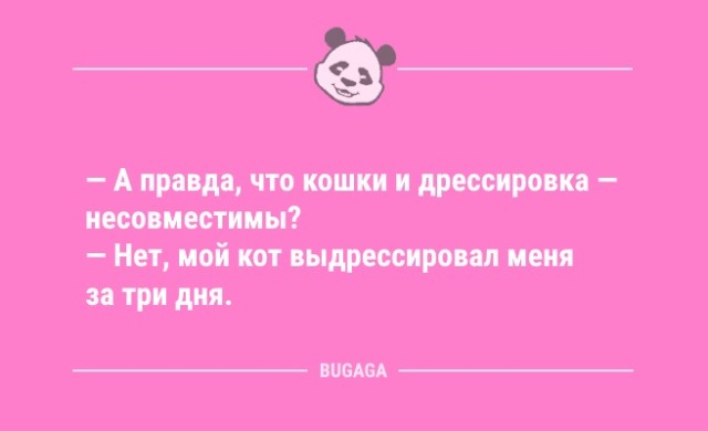 Молодость - это надевать трусы стоя Молодость - это надевать трусы стоя