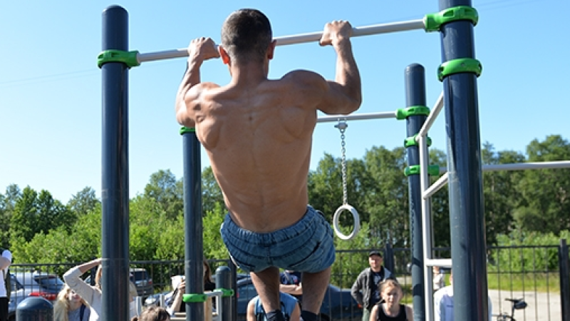 Математики описали самый эффективный способ набора мышечной массы