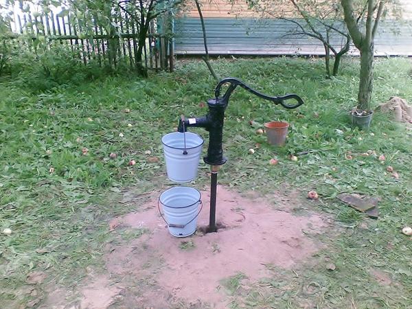 Скважина-игла для полива &amp;amp;mdash; отличное решение. Фото сайта fotodecora.ru