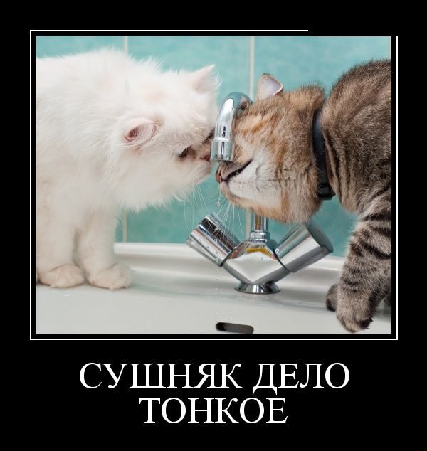 Демотиваторы - приколы!