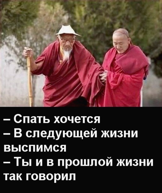 Подборка смешных картинок Подборка смешных картинок смешные картинки