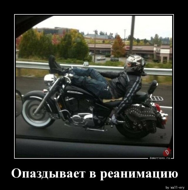 Новая порция улыбок и хорошего настроения — в прикольных демотиваторах! 