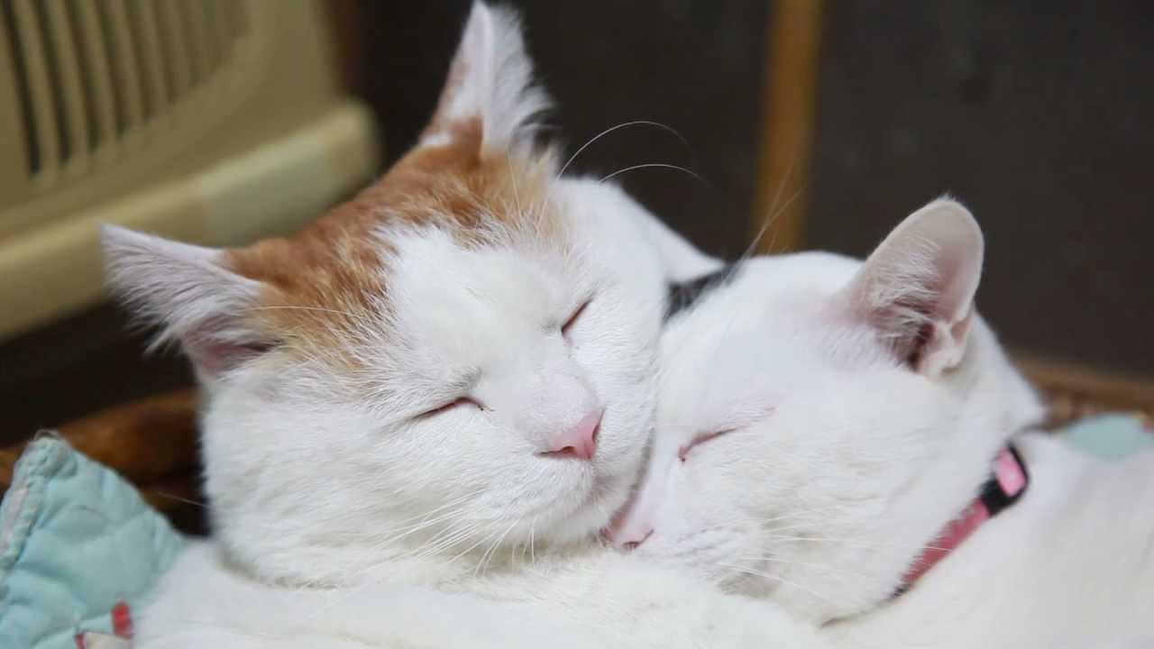 Женский журнал