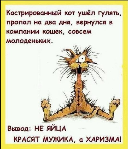 Если девушка говорит «Не трогай меня», то все-таки чуть потрогать можно. Это как знак 40 км, но вы же знаете, что можно ехать 60)) анекдоты