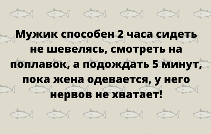 Поднимаем настроение в разгар рабочего дня: только смешные и убойные шутки