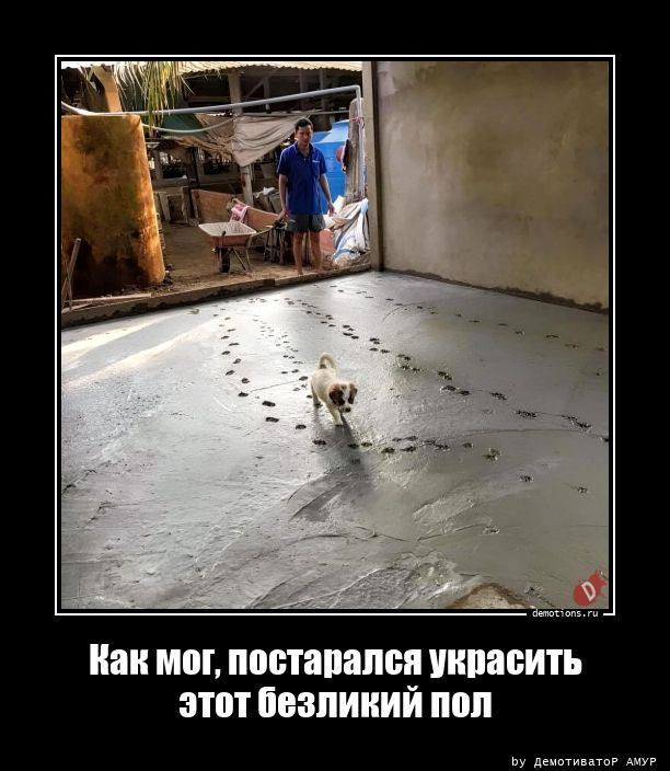 Демотиваторы прикольные: «Расставляй по фэншую…» 