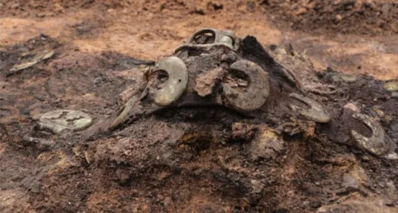 Экспедиция на Звягинском могильнике завершила крупные археологические раскопки