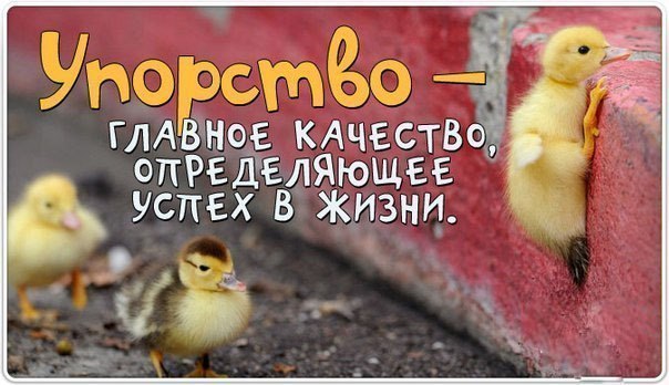 Забавная подборка классных фотографий и смешных картинок с надписями 