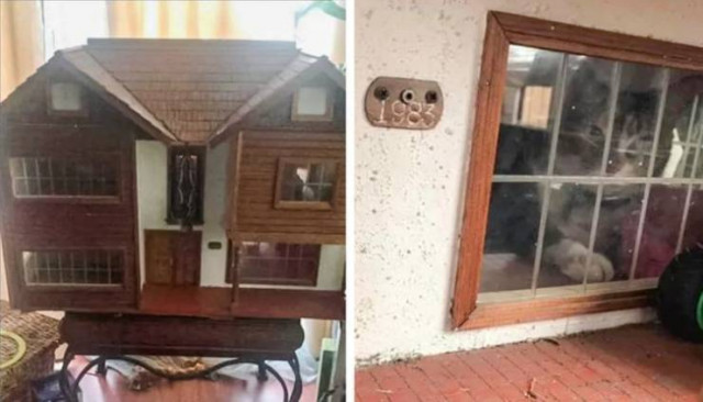 Делаю что хочу! Делаю что хочу!