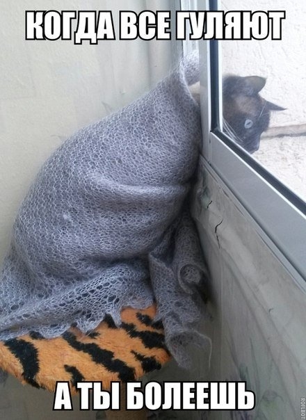 Прикольные картинки и фотки 