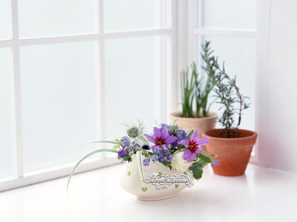 e67pro3x81I (604x453, 31Kb)