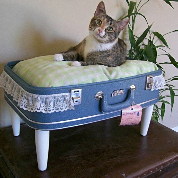 кровать для кота из чемодана