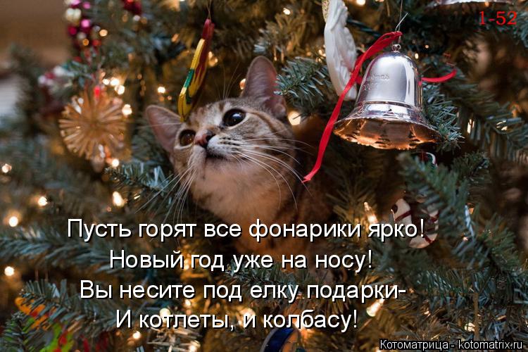Котоматрица: Пусть горят все фонарики ярко! Новый год уже на носу! Вы несите под елку подарки- И котлеты, и колбасу!