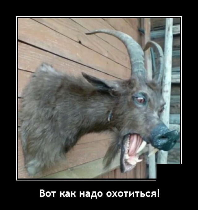 Новые демотиваторы Новые демотиваторы демотиваторы