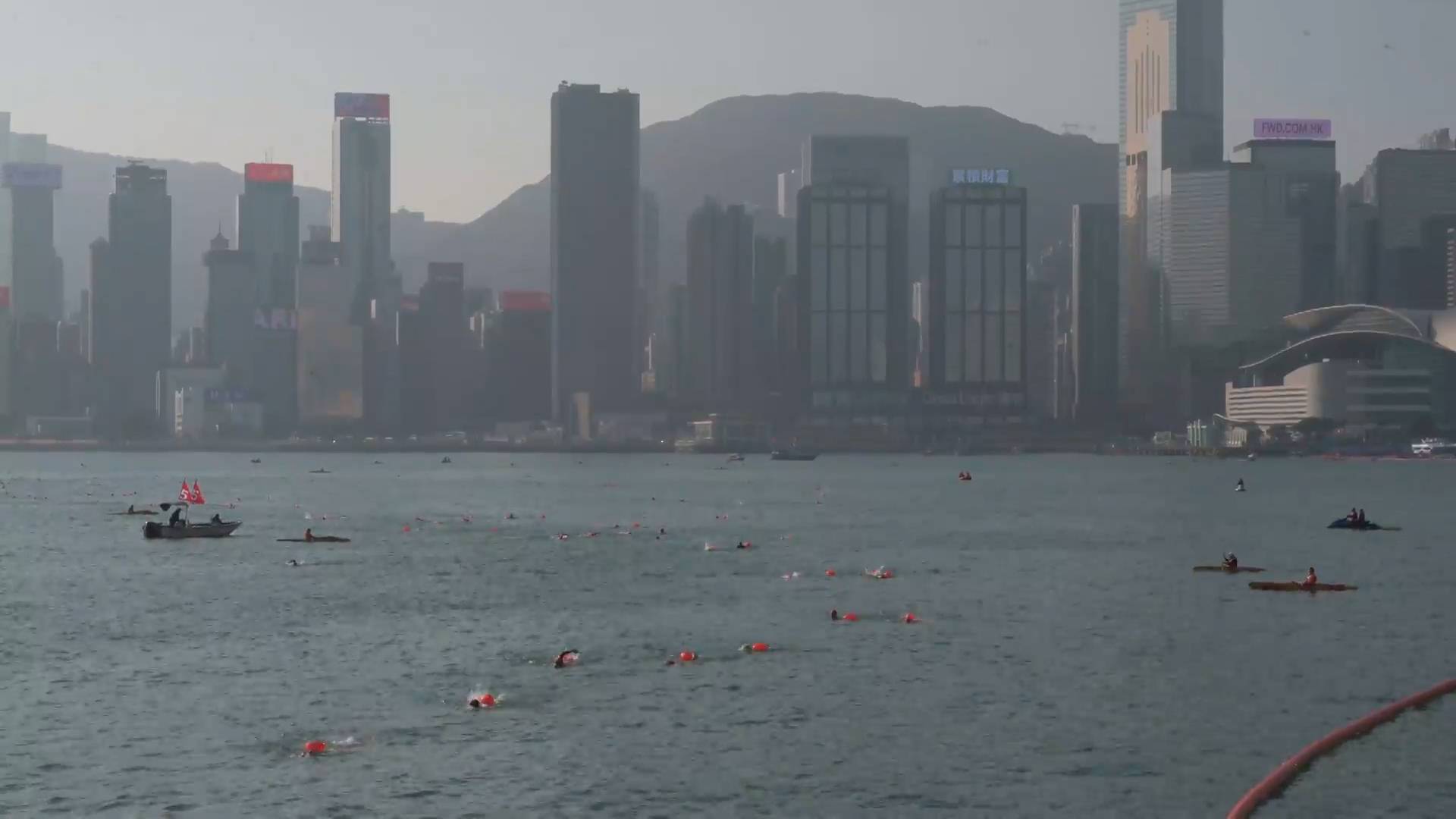 Сотни жителей Гонконга приняли участие в ежегодных соревнованиях по плаванию