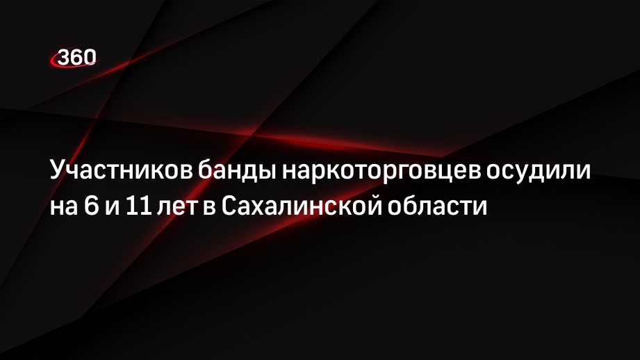 Участников банды наркоторговцев осудили на 6 и 11 лет в Сахалинской области