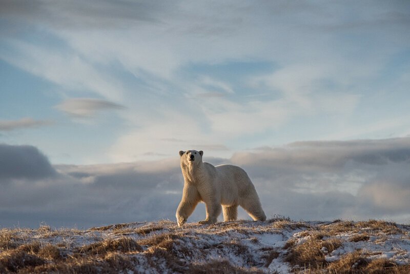       2018      national geographic,  , , , , , 