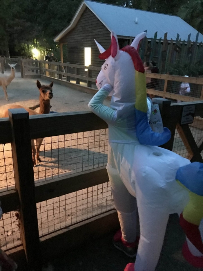 Фотоподборка на понедельник 29 октября 