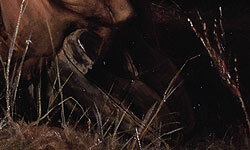 Врать по-русски: 9 фактов об «Охотниках на привале»