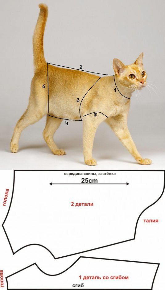 Юбочка для мурочки. Нужны ли кошкам наряды? Источник, платья, одежду, сшить, свитерок, АлиЭкспрессНо, кошка, только, платье, кошке, своей, собак, мурок, Казусные, кошку, вечерние, приятельница, этого, После, йорков