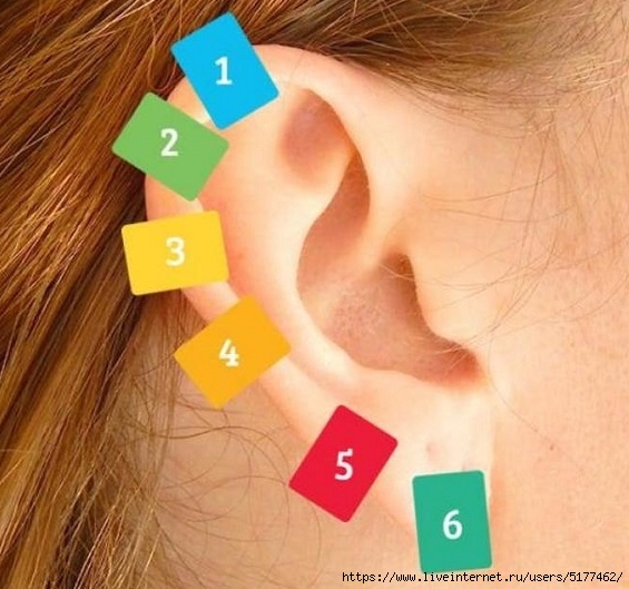 5177462_Image4453_5 (565x529, 211Kb)