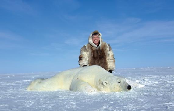Почему уменьшается численность белых медведей в Арктике?