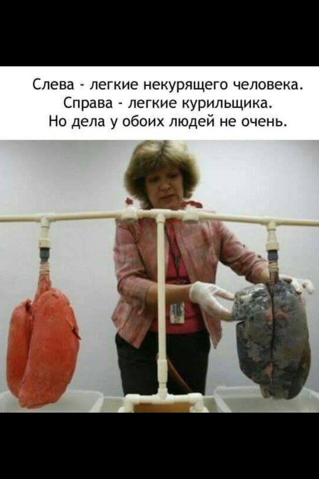 Картинки, которые гарантированно поднимут вам субботнее настроение  прикол, смешно, юмор