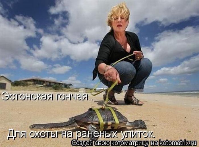 Мысли вслух :)